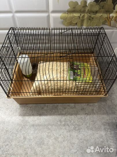 Клетка для грызунов бу