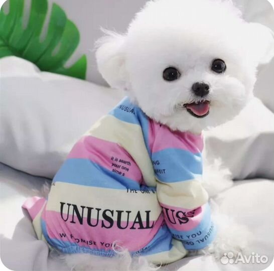 Комбинезон для средней собаки