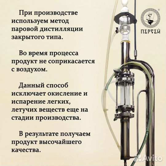 Гидролат Кедра сибирского