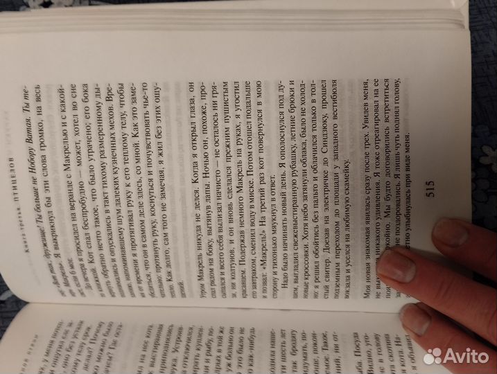 Харуки Мураками. Хроники заводной птицы