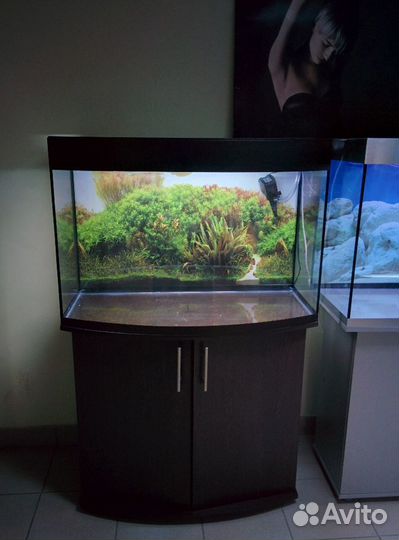 Аквариум 200 полукрулый, свет, биофильтр, фон