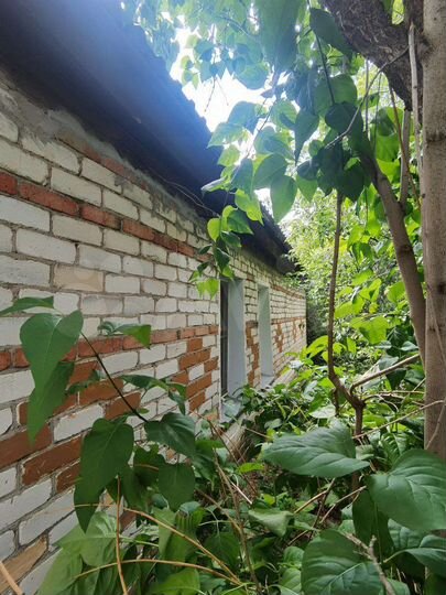 Дом 67,3 м² на участке 15 сот.