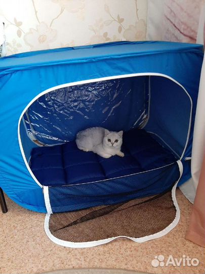 Выставочная палатка для кошек
