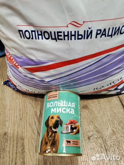 Сухой корм для собак