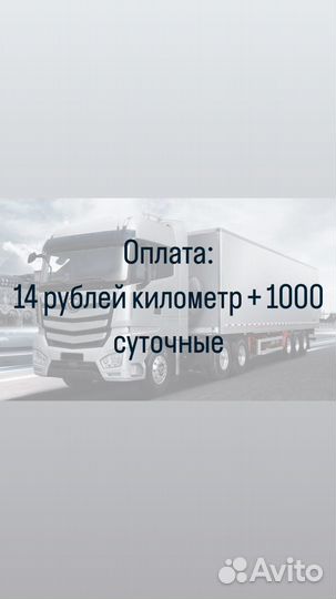 Водитель Категории CE (штора)