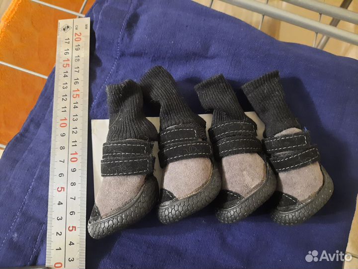 Обувь для маленьких собак