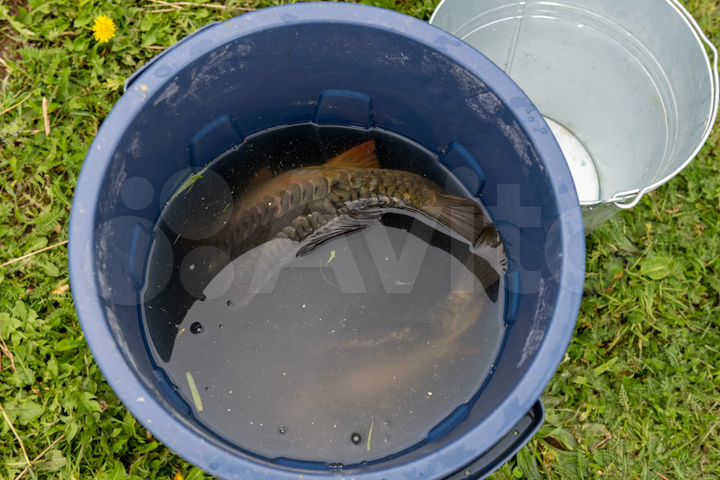 Участок 6,8 сот. (СНТ, ДНП)