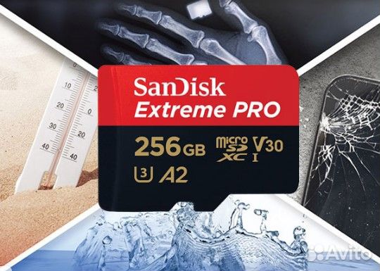 Карта памяти Sandisk Extreme Pro 256Gb