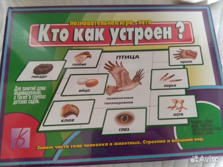 Игра Кто как устроен