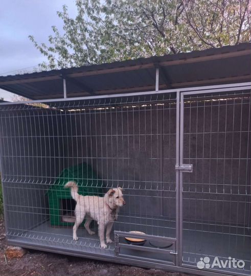 Клетка вольер для собак любых размеров