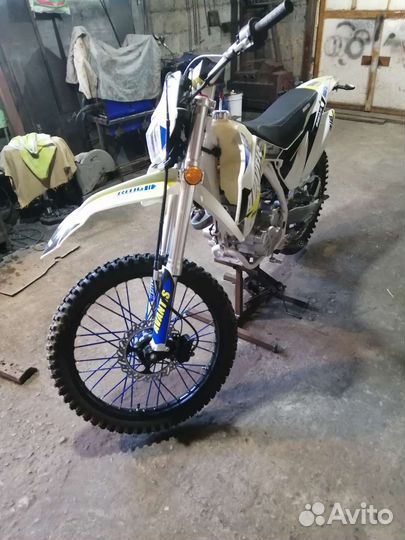 Avantis FX 250 LUX