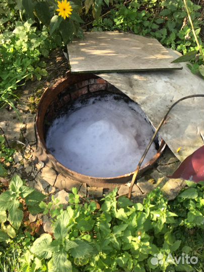 Экологические консультации