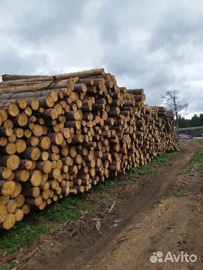Пиломатериалы брус доска лес
