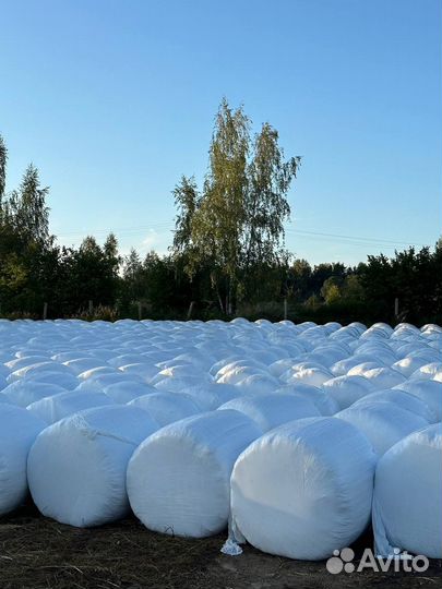 Сенаж зерносмеси в упаковке