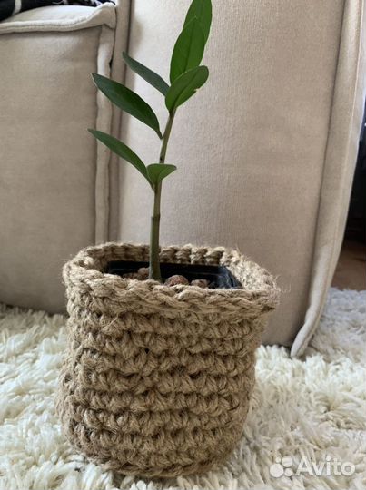 Кашпо из джута