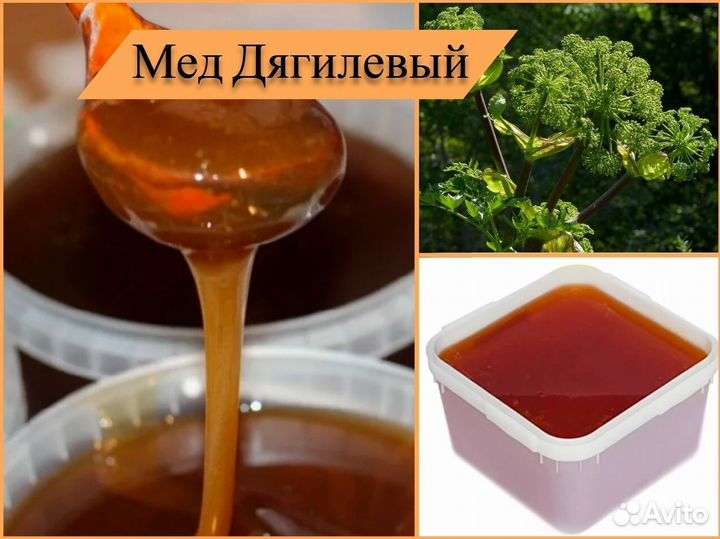 Мед натуральный (липовый, разнотравье). Алтай