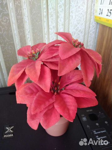 Декор новогодний. Пуансеттия искусственная