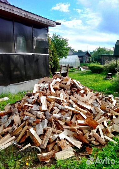 Дрова Береза навалом в Приозерске