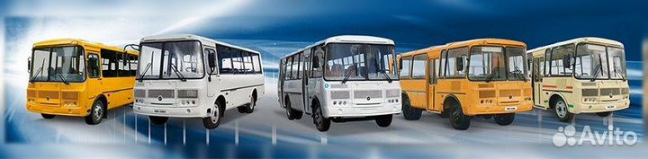 Водитель автобуса паз