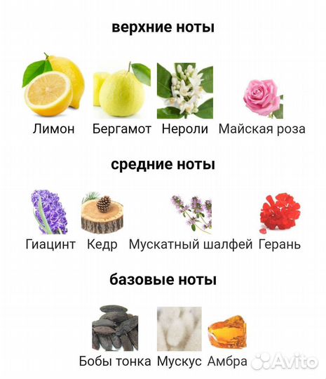 Versace Pour Homme 100 мл муж парфюм