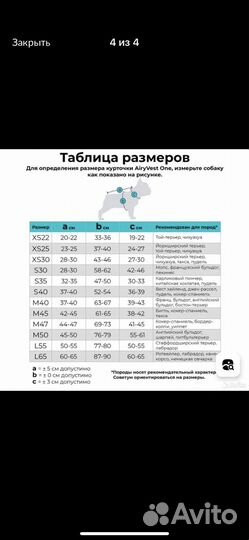 Жилетка для средних собак