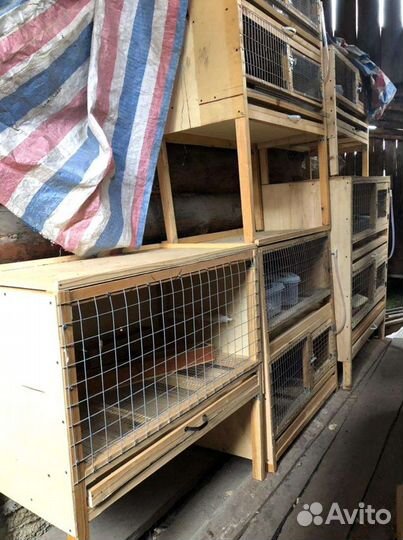 Клетка для домашней птицы