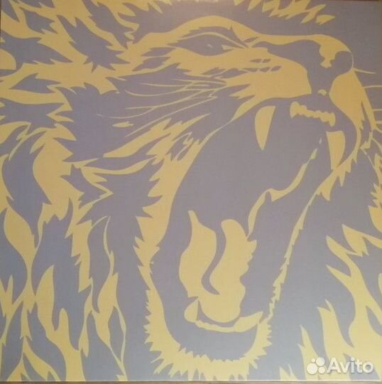 Headland Tasty Witch