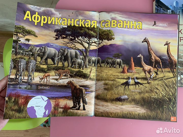 Энциклопедия жизнь животных