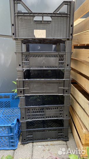 Пластиковые ящики для хранения овощей бу