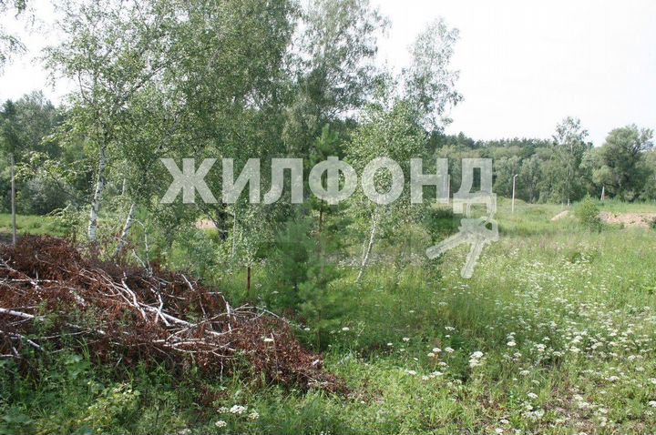 Участок 21 сот. (СНТ, ДНП)