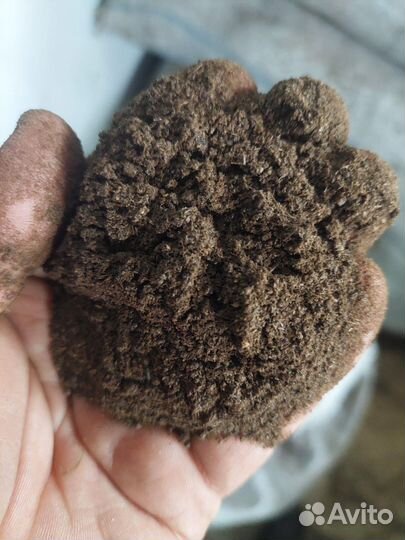 Мясокостная мука крс