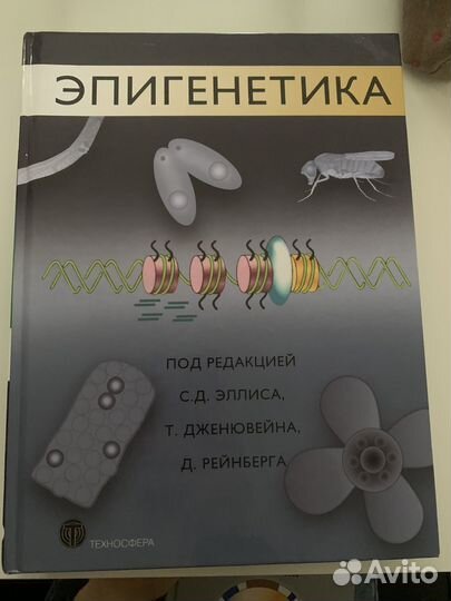 Эпигенетика