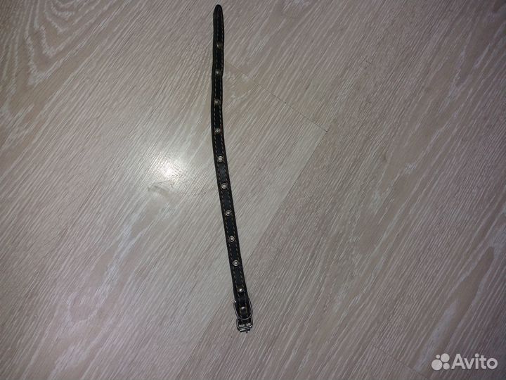 Ошейник для собак