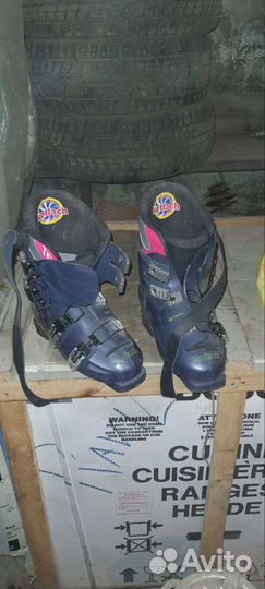 Горные лыжи