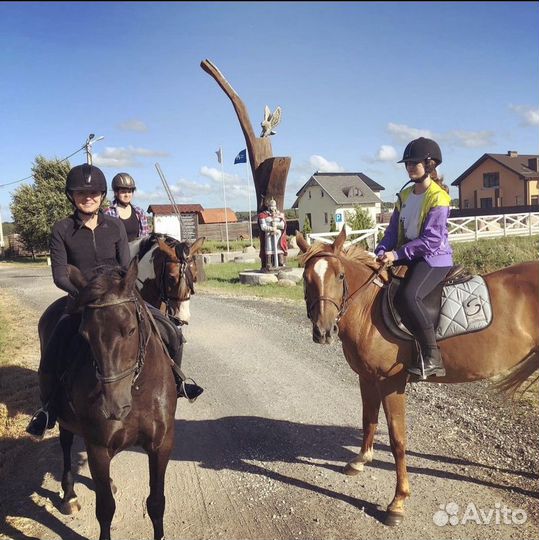 Конные прогулки, обучение верховой езде