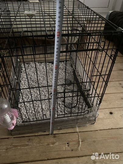 Клетка для кошек и собак