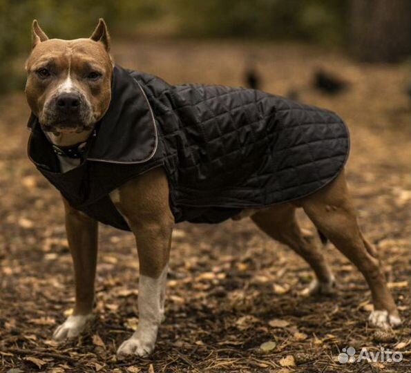 Куртка\попона для собак крупных пород. Новая