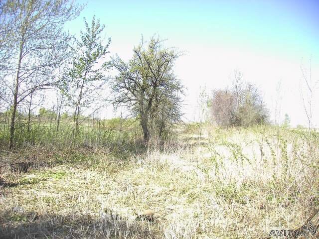 Участок 45 сот. (ИЖС)