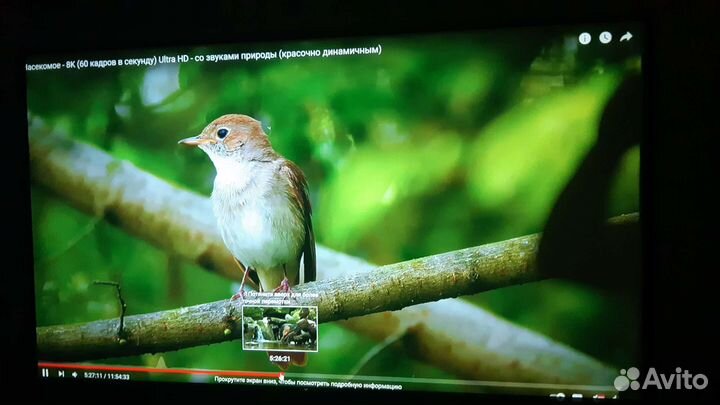 Проектор с экраном аренда (full HD кино/презен-я)