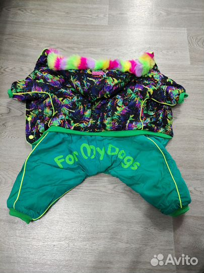 Одежда для средних собак