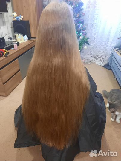 Скупка волос