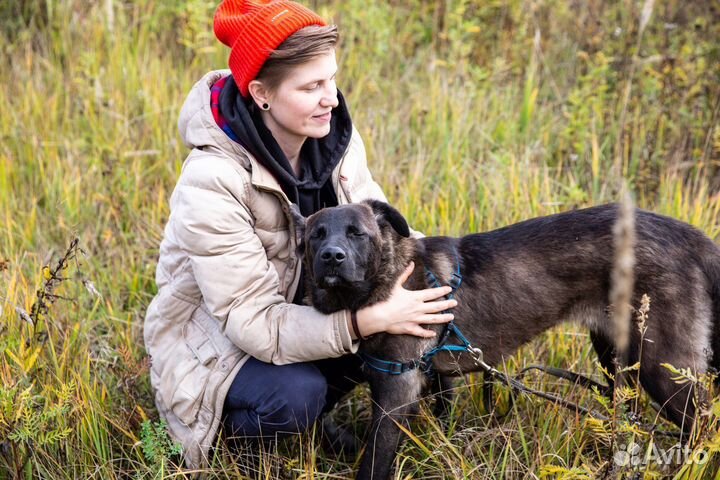 Медвежонок Барни ищет дом