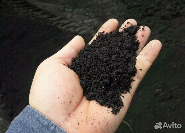 Перегной для огорода