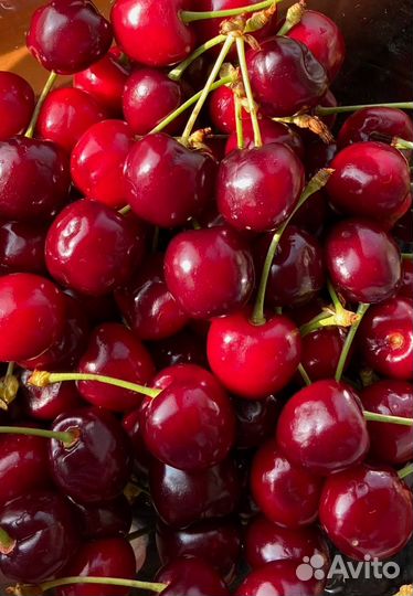 Картофель и другие овощи с бесплатной доставкой