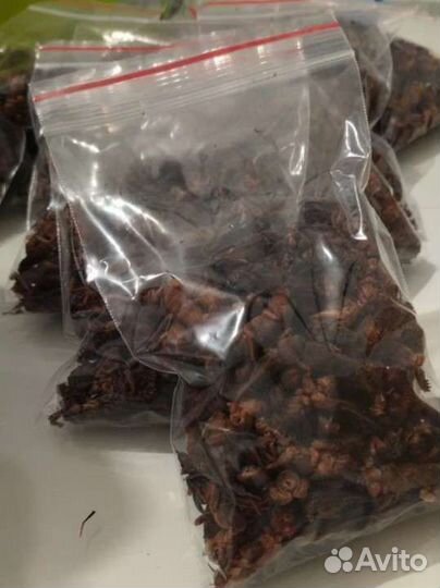 Медведки азиатские