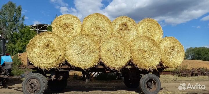 Солома зерно