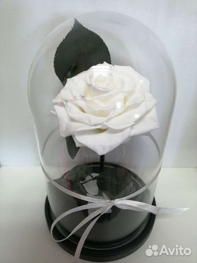 Вечная роза в колбе