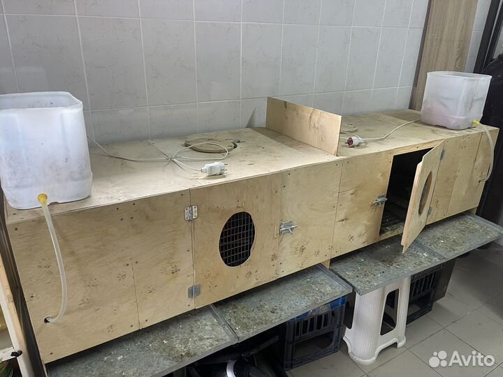 Продается брудер б/у