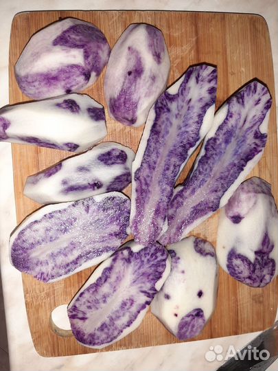 Семенной картофель Французский трюфель