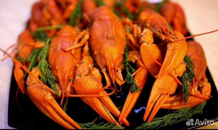 Живые и Вареные раки